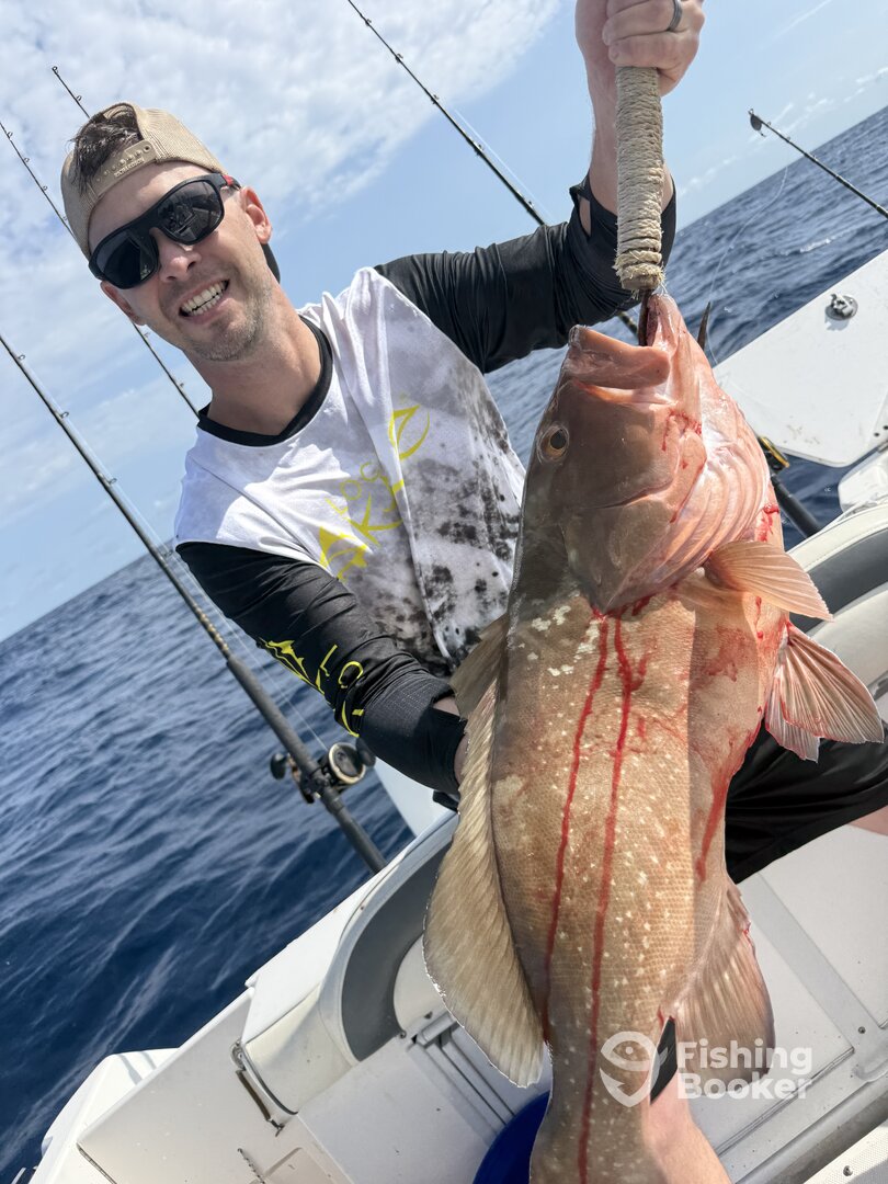 Belleair Bluffs Report Photo 0