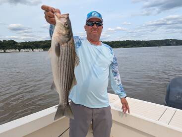 Havre de Grace Report Photo 1