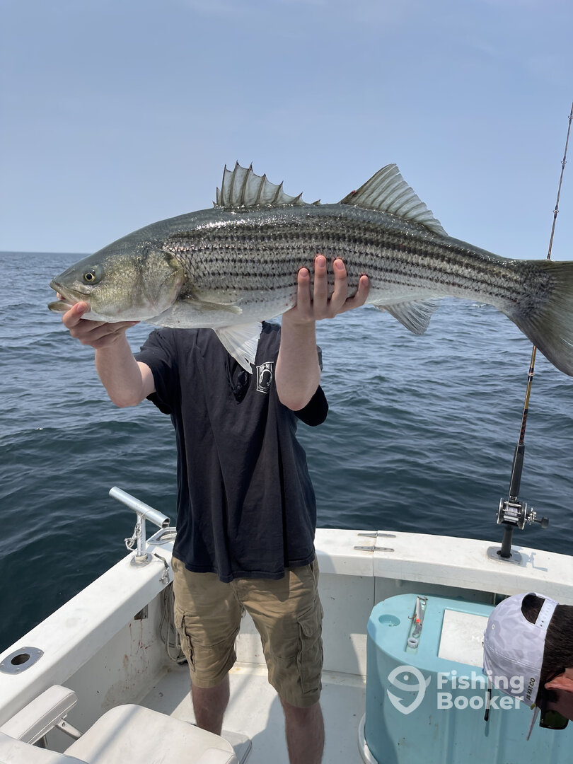 Dennis Report Photo 0