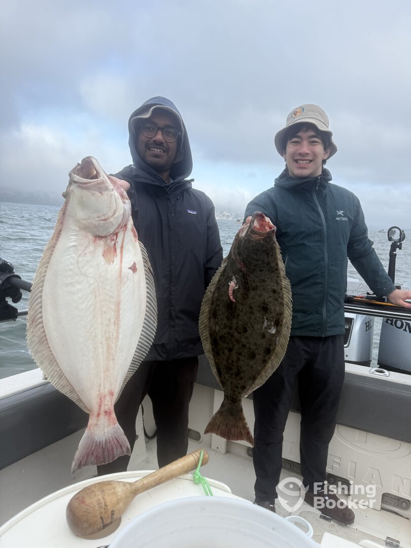 Berkeley Report Photo 0