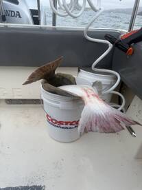 Berkeley Report Photo 2