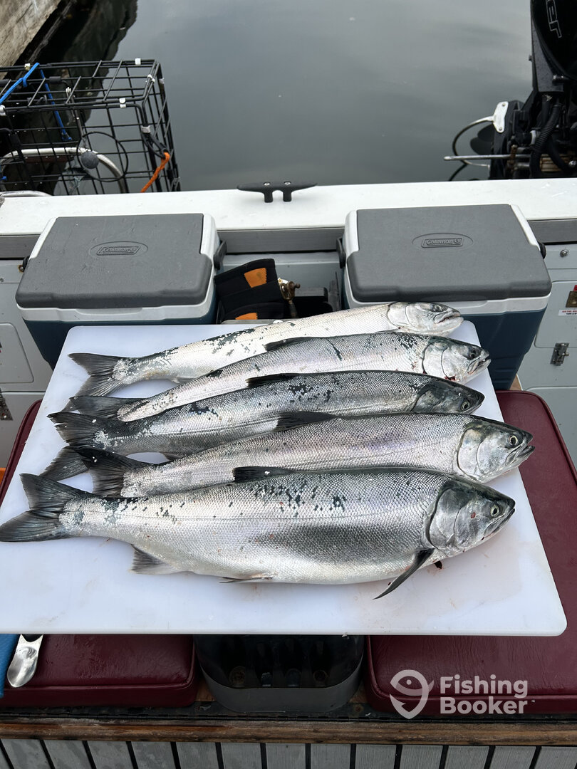 Campbell River Report Photo 0