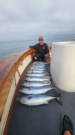 Wide open jumbo size Bonita 