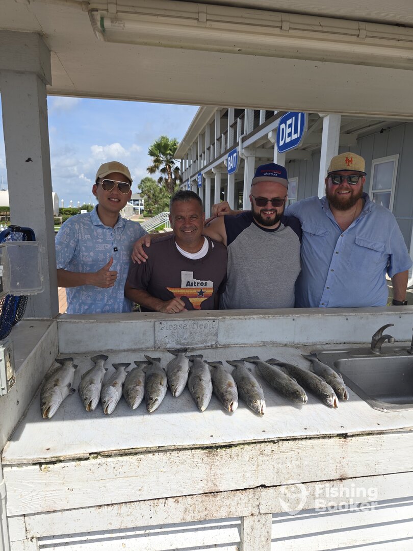 Galveston Report Photo 0