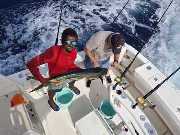 Playa Flamingo Report Photo 1