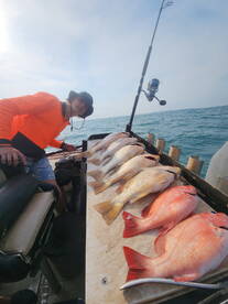 Half day fun catch, friendly and helpful