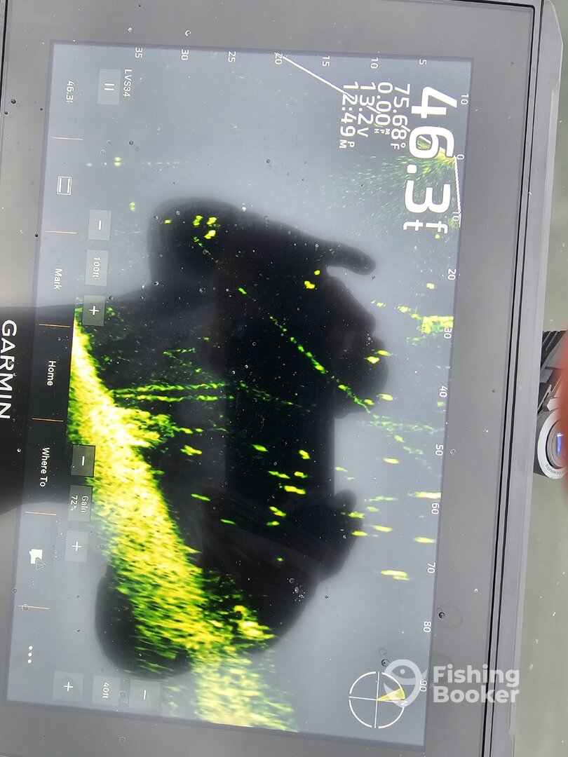 Branson Report Photo 0