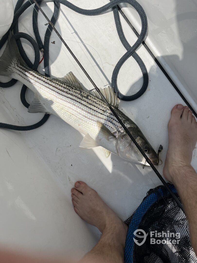 Freeport Report Photo 0