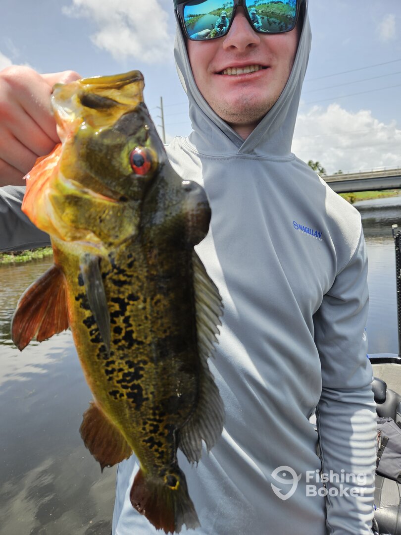 Delray Beach Report Photo 0