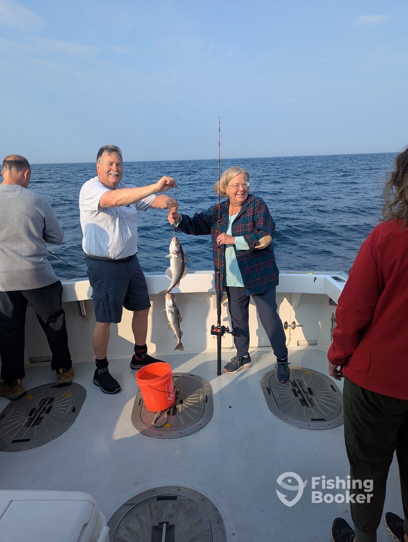 Gloucester Report Photo 0