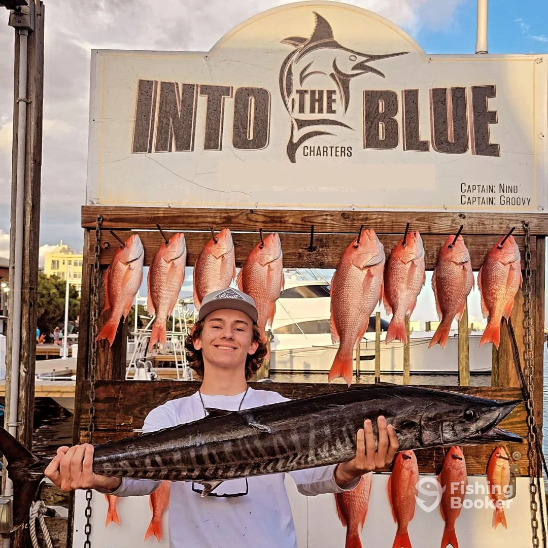 Destin Report Photo 0