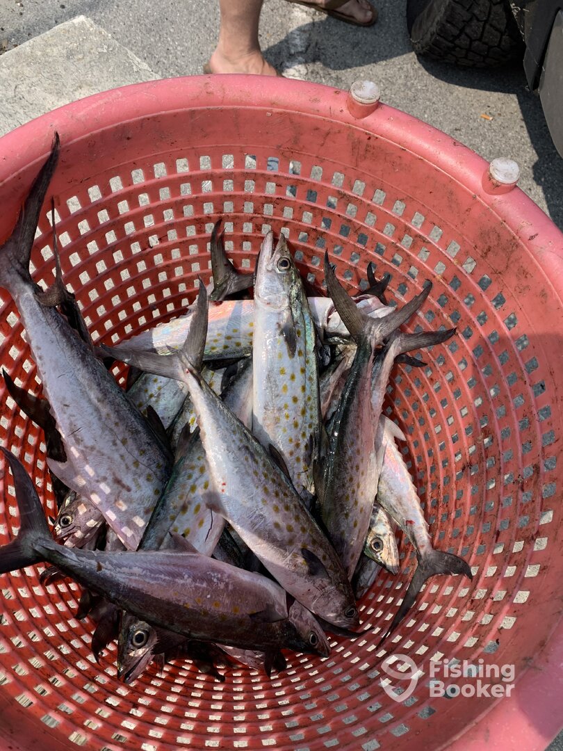 Atlantic Beach Report Photo 0