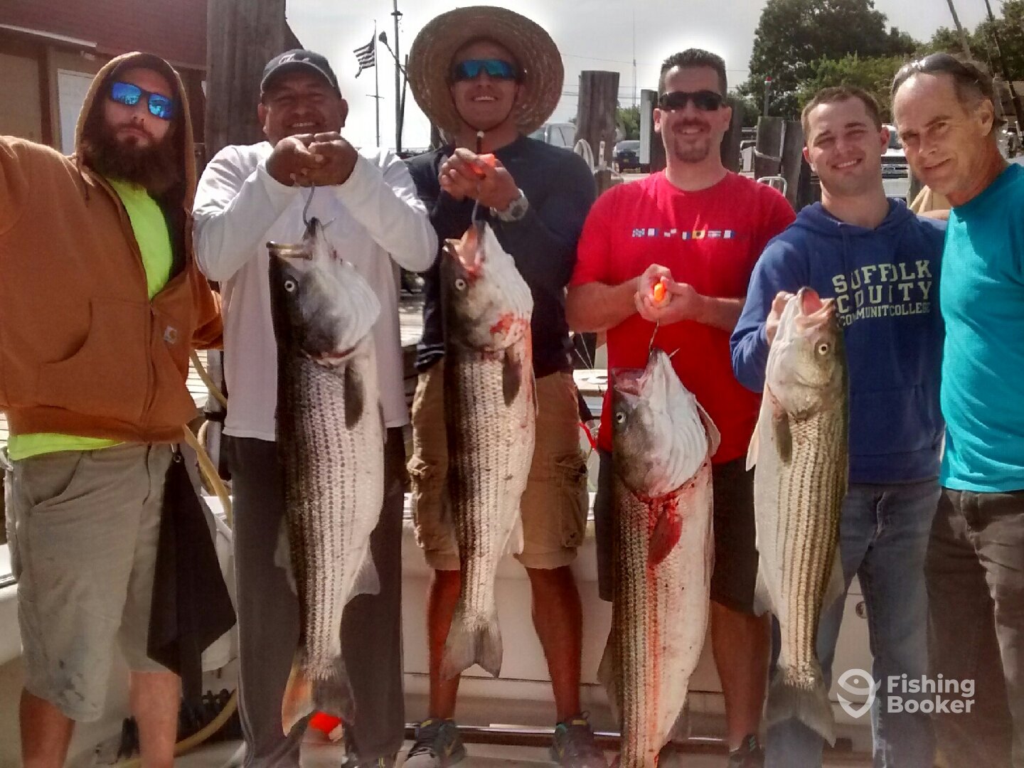 Montauk Report Photo 0