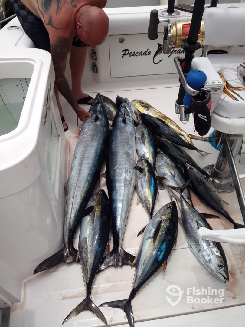 Cabo San Lucas Report Photo 0