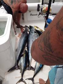 Cabo San Lucas Report Photo 1