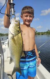 Delray Beach Report Photo 1