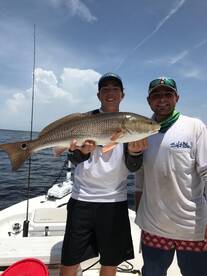 Tampa Report Photo 2