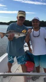 Tampa Report Photo 1