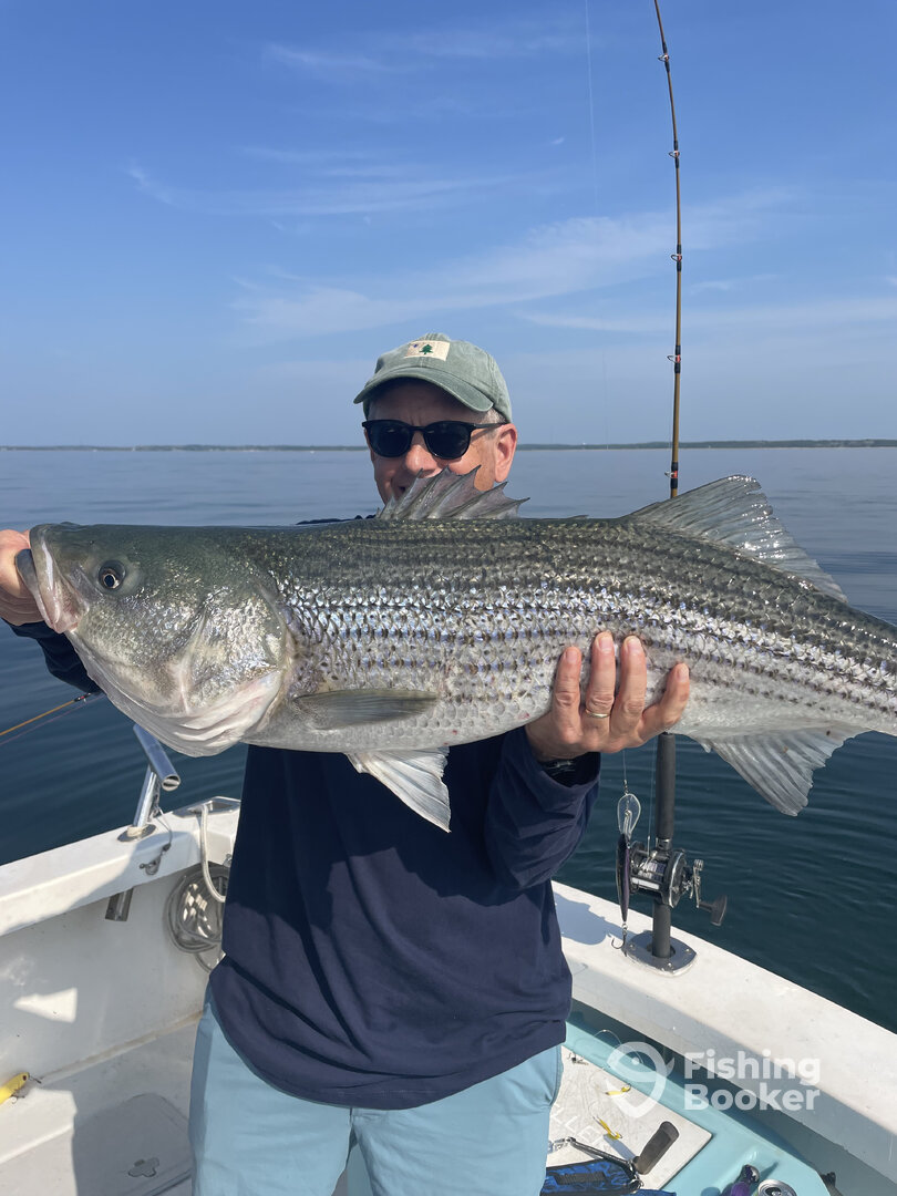 Dennis Report Photo 0