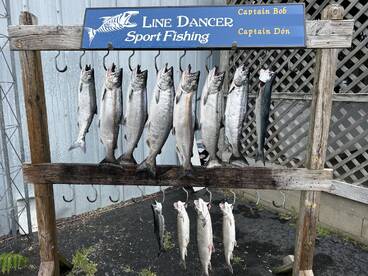 The kings are still here