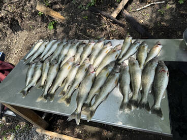 Amazing day on the lake 