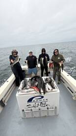 Great half day fishing right now 