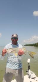 Hot weather and a hot bite !