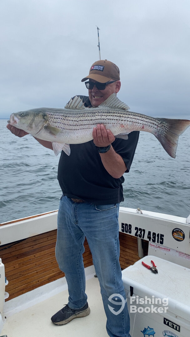 Eastham Report Photo 0