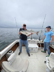 Eastham Report Photo 2