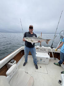 Eastham Report Photo 1