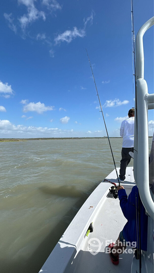 Port Aransas Report Photo 0