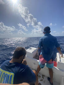 Puerto Morelos Report Photo 1