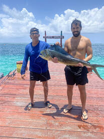 Mahi mahi fishing