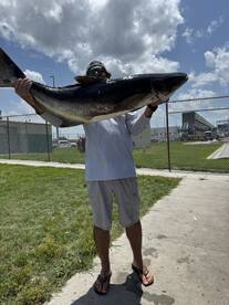 Port Canaveral Report Photo 2