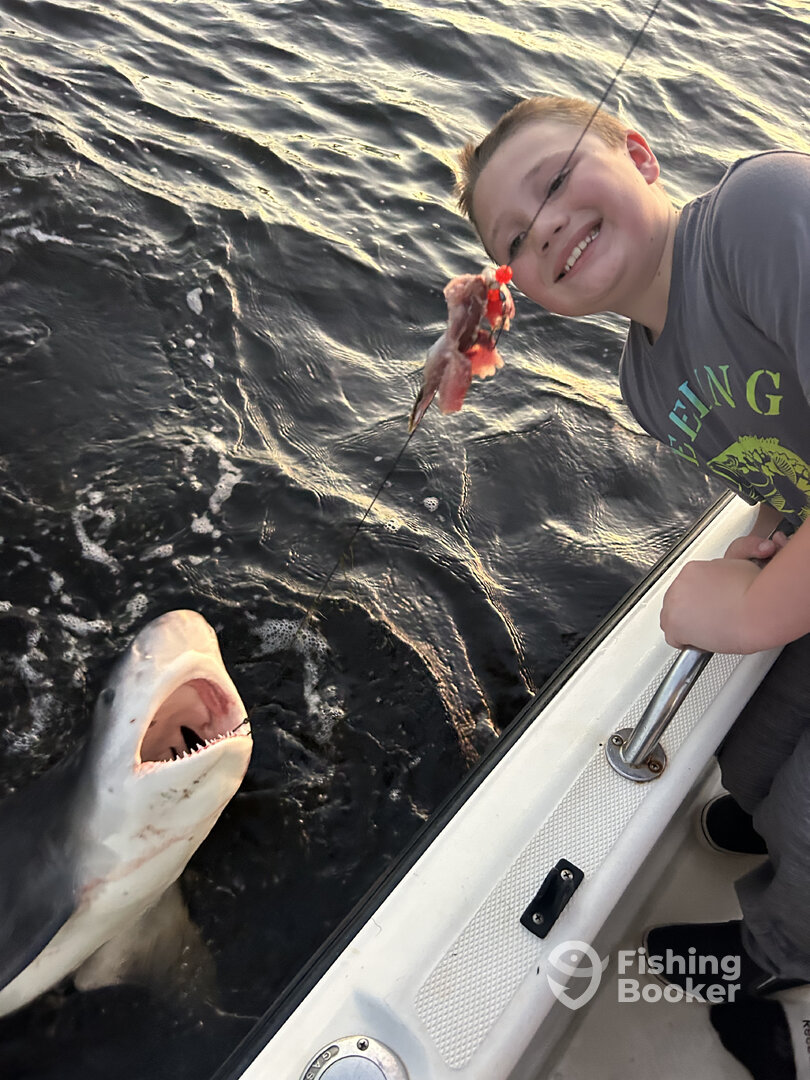 Punta Gorda Report Photo 0