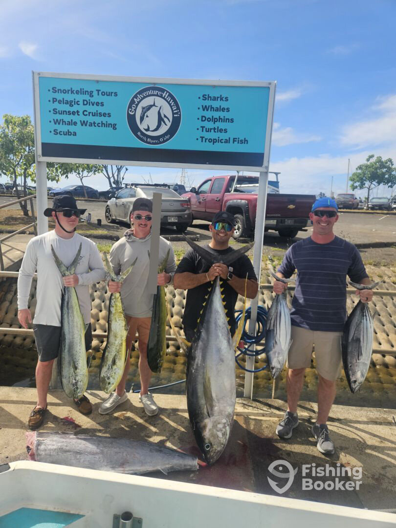 Haleiwa Report Photo 0