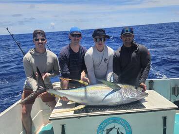 Haleiwa Report Photo 2