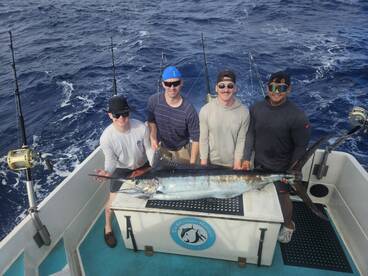 Haleiwa Report Photo 1