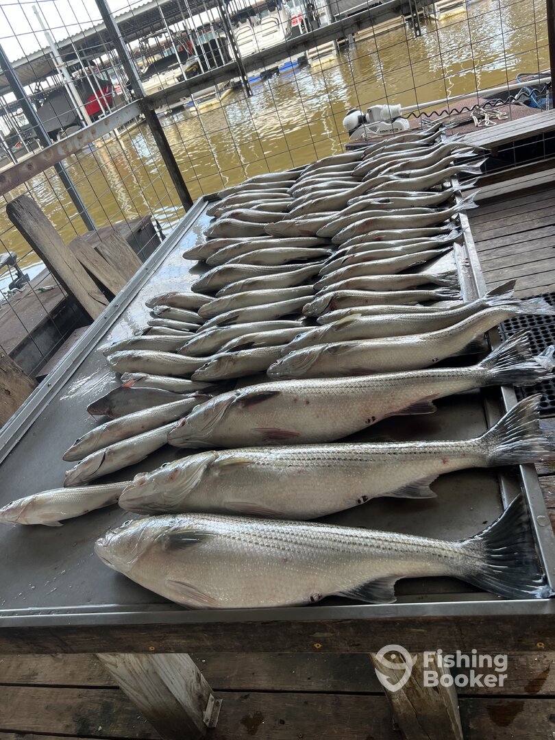 Pottsboro Report Photo 0