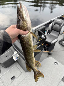 Rhinelander Report Photo 2