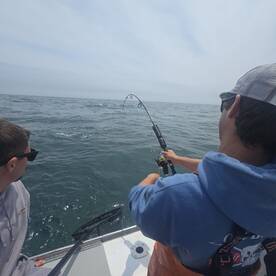 Narragansett Report Photo 2