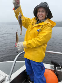 Seattle Report Photo 1