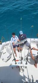 Mahi, Shark and Barracuda 