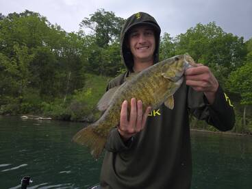 Great bass bite this evening 