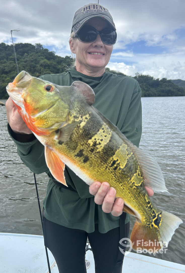 Toa Alta Report Photo 0