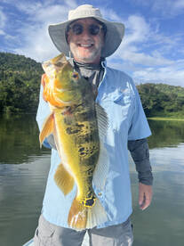 Toa Alta Report Photo 1