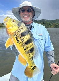 Toa Alta Report Photo 2