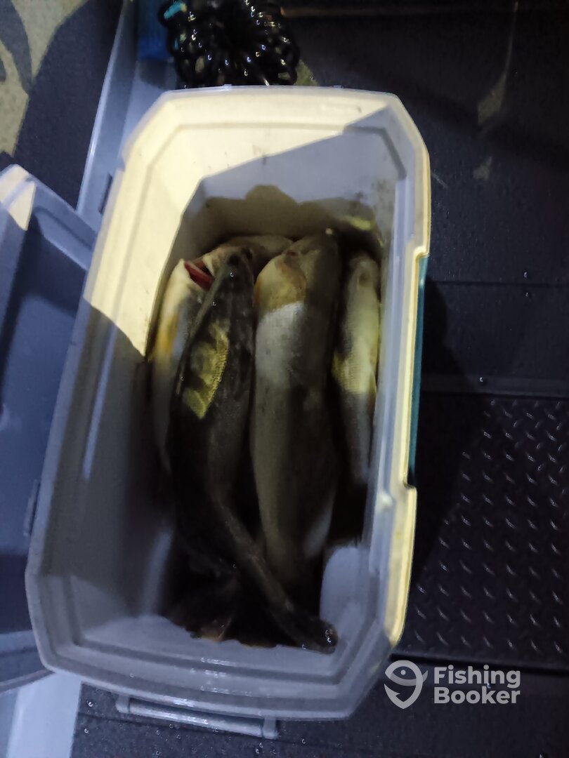 Dunkirk Report Photo 0