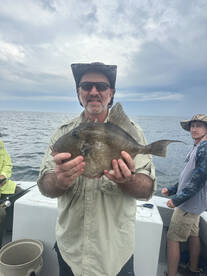 Virginia Beach Report Photo 2