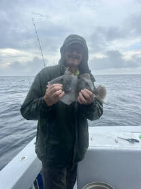 Flounder and Triggers 